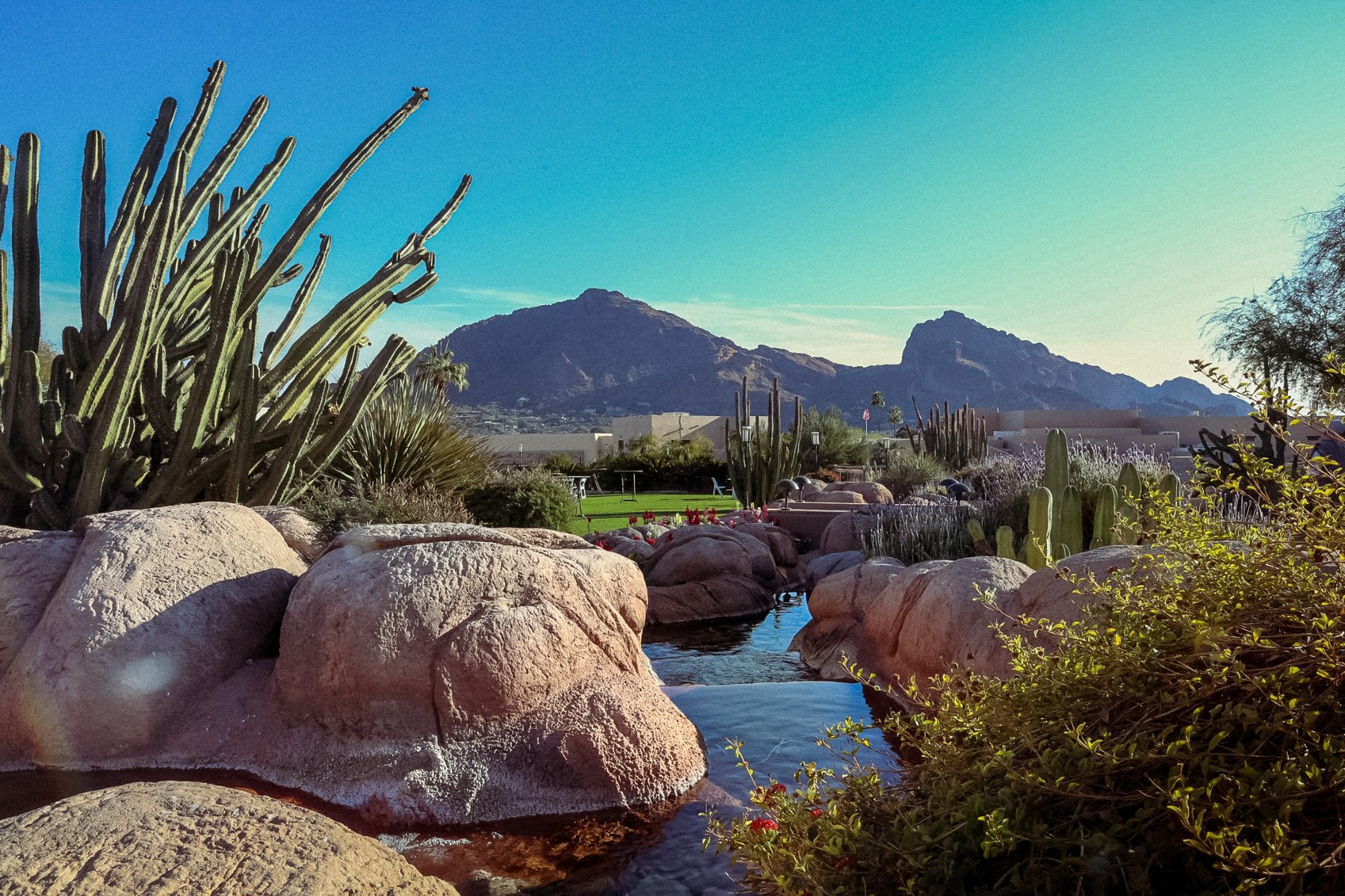 Arizona desert landscape